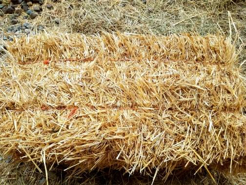 Organic Straw Bale
